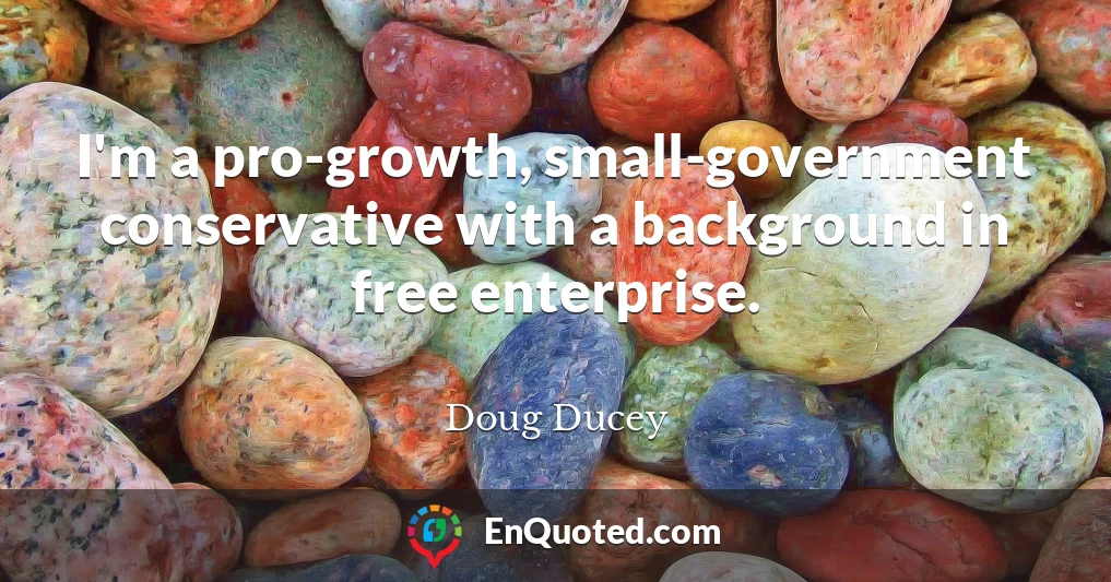 I'm a pro-growth, small-government conservative with a background in free enterprise.