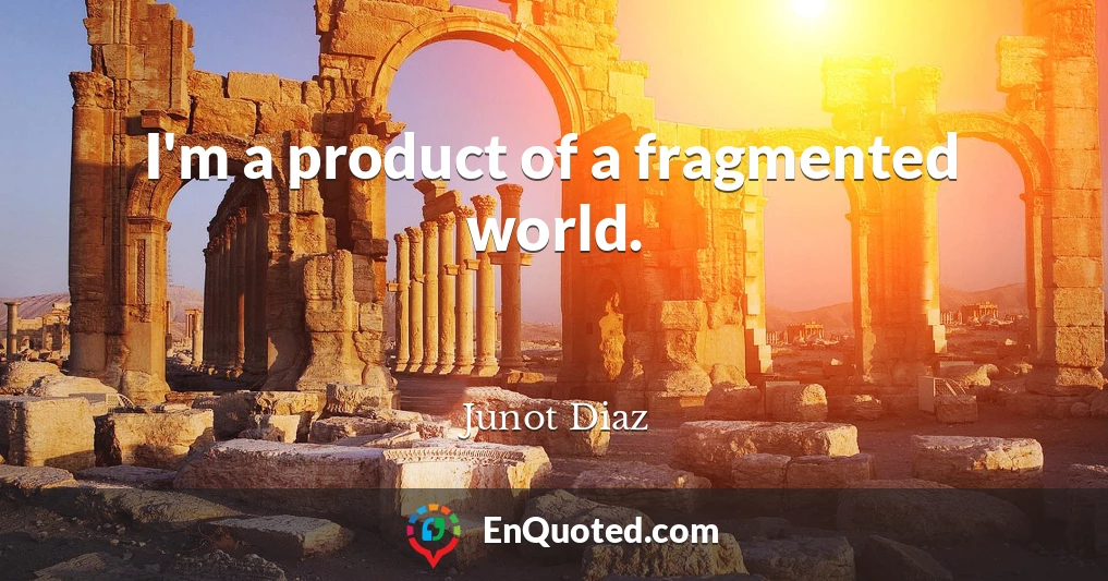 I'm a product of a fragmented world.