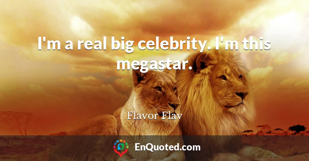 I'm a real big celebrity. I'm this megastar.