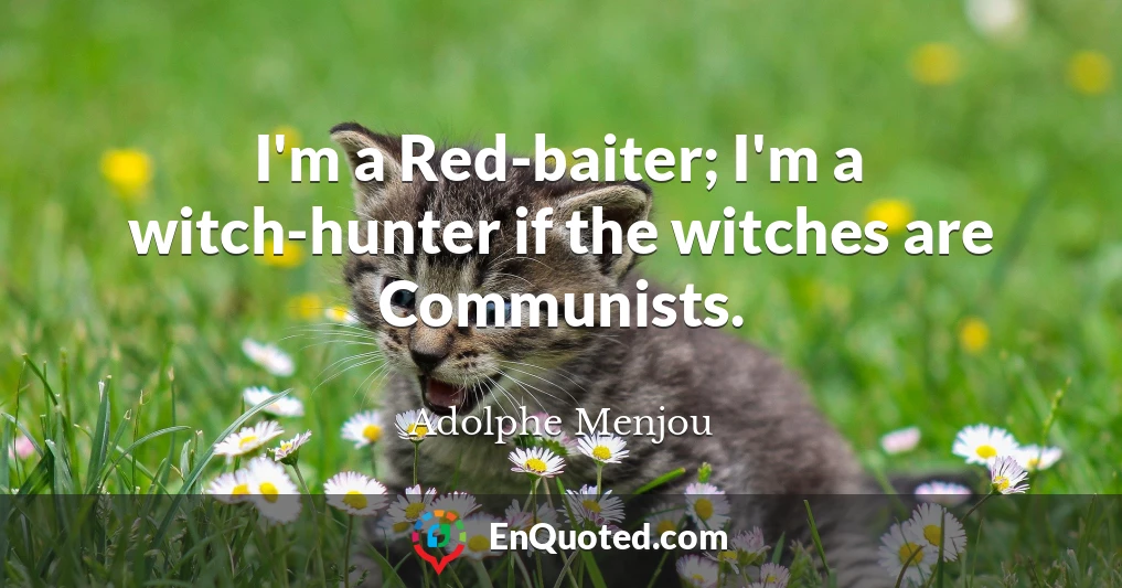 I'm a Red-baiter; I'm a witch-hunter if the witches are Communists.