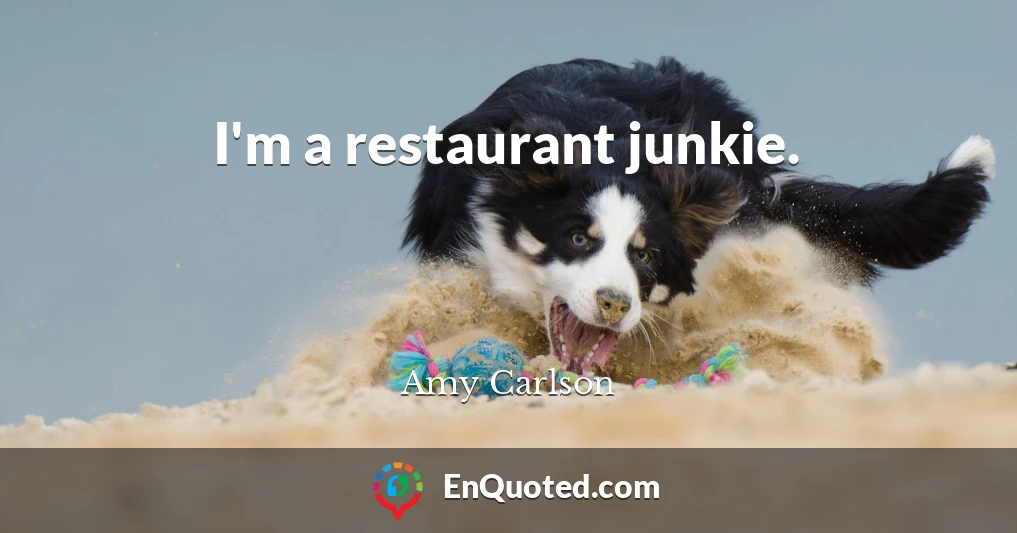 I'm a restaurant junkie.