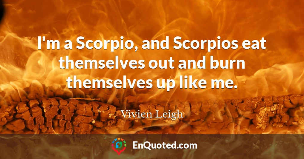I'm a Scorpio, and Scorpios eat themselves out and burn themselves up like me.