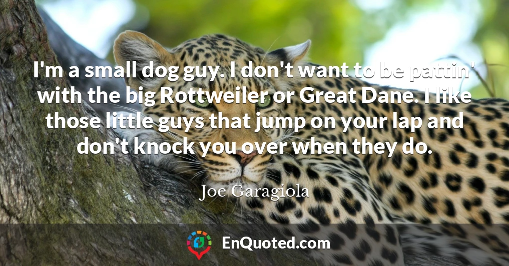 I'm a small dog guy. I don't want to be pattin' with the big Rottweiler or Great Dane. I like those little guys that jump on your lap and don't knock you over when they do.