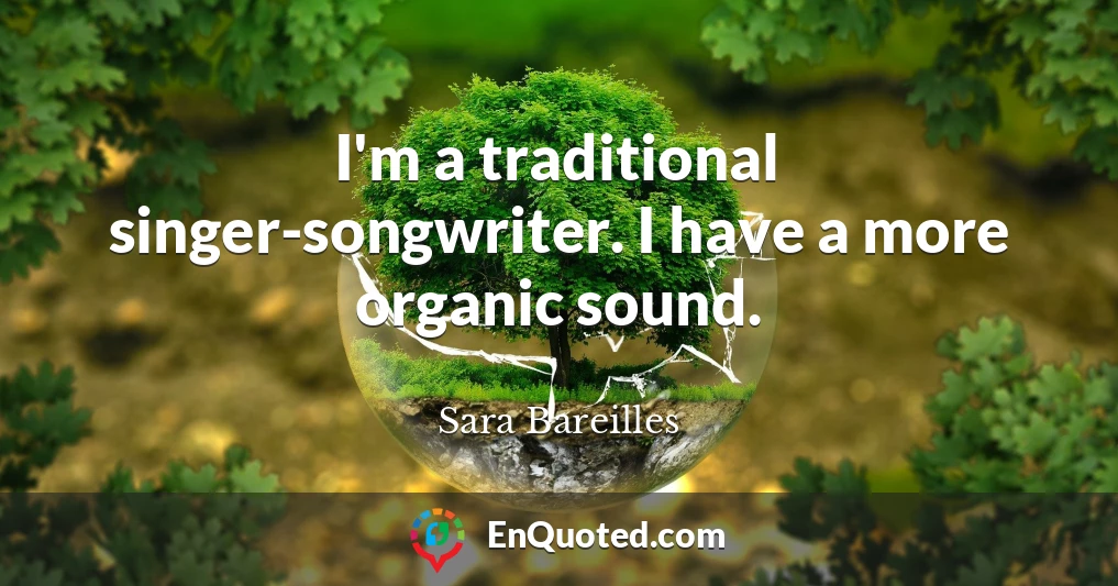 I'm a traditional singer-songwriter. I have a more organic sound.