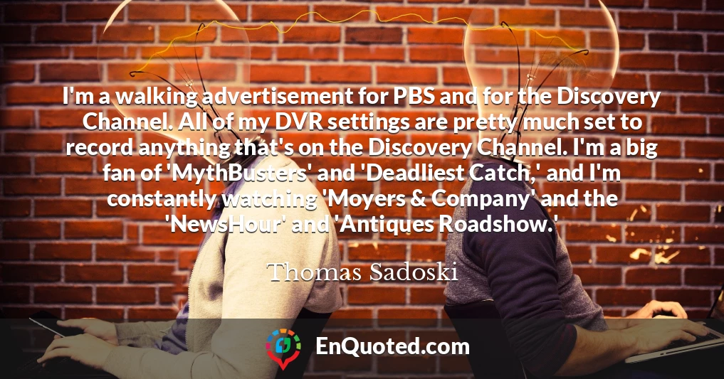 I'm a walking advertisement for PBS and for the Discovery Channel. All of my DVR settings are pretty much set to record anything that's on the Discovery Channel. I'm a big fan of 'MythBusters' and 'Deadliest Catch,' and I'm constantly watching 'Moyers & Company' and the 'NewsHour' and 'Antiques Roadshow.'