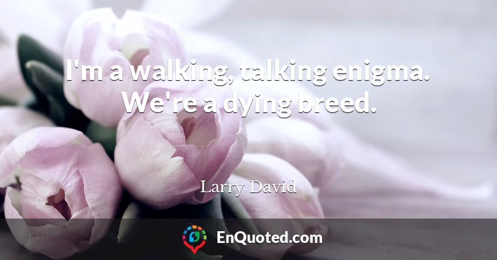 I'm a walking, talking enigma. We're a dying breed.