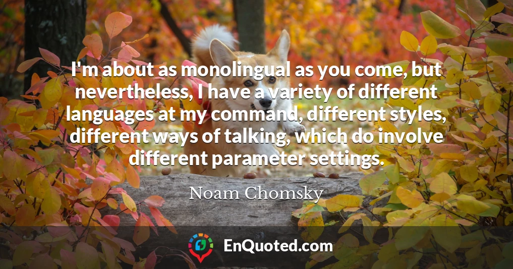 I'm about as monolingual as you come, but nevertheless, I have a variety of different languages at my command, different styles, different ways of talking, which do involve different parameter settings.