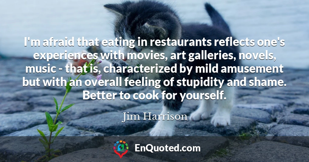 I'm afraid that eating in restaurants reflects one's experiences with movies, art galleries, novels, music - that is, characterized by mild amusement but with an overall feeling of stupidity and shame. Better to cook for yourself.