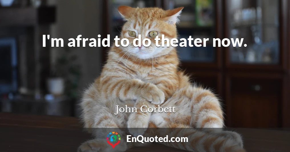 I'm afraid to do theater now.