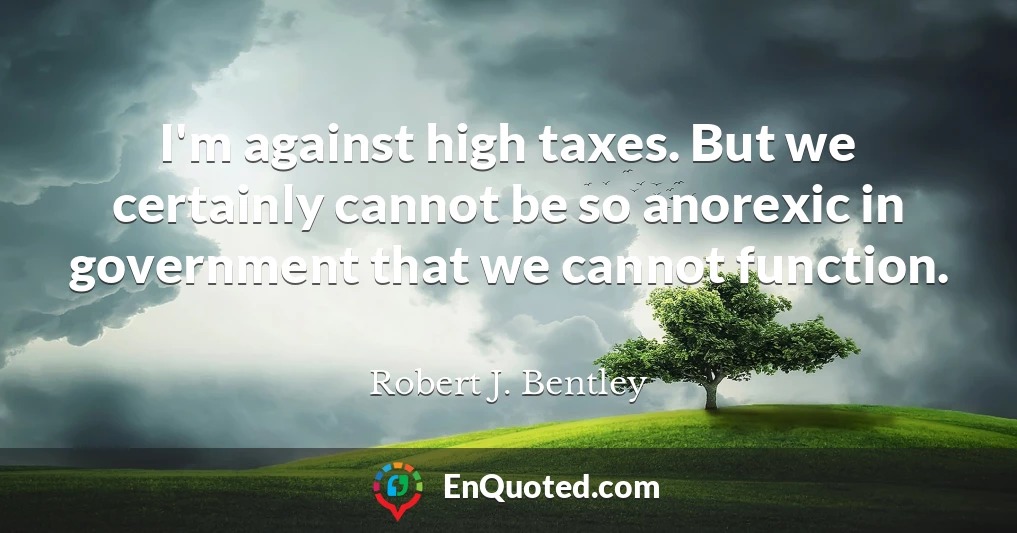 I'm against high taxes. But we certainly cannot be so anorexic in government that we cannot function.