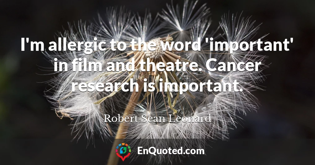 I'm allergic to the word 'important' in film and theatre. Cancer research is important.