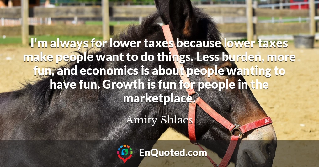 I'm always for lower taxes because lower taxes make people want to do things. Less burden, more fun, and economics is about people wanting to have fun. Growth is fun for people in the marketplace.
