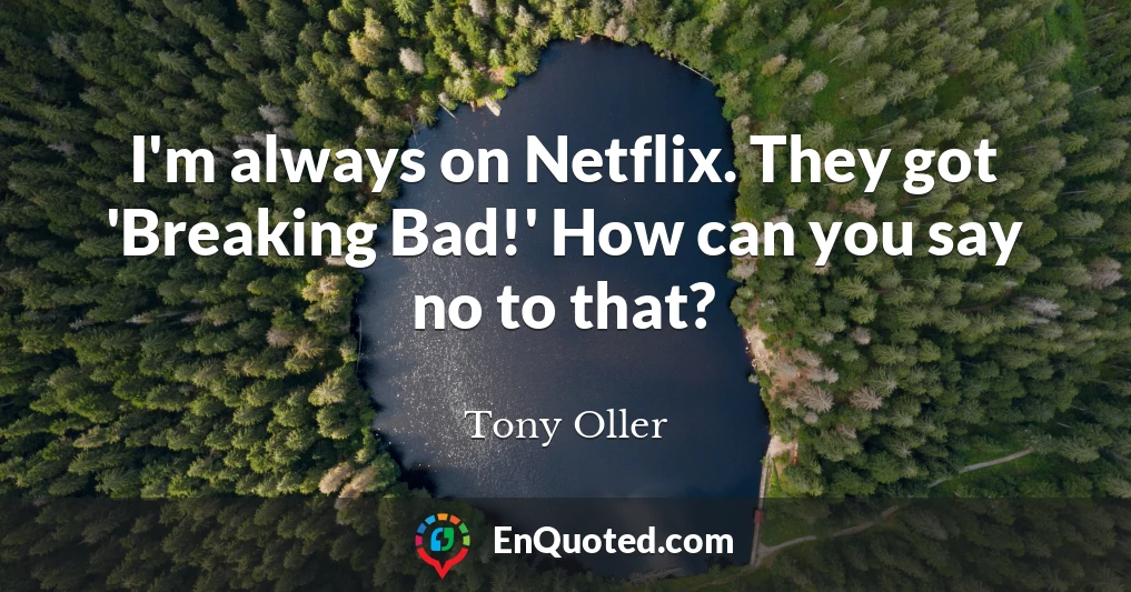 I'm always on Netflix. They got 'Breaking Bad!' How can you say no to that?