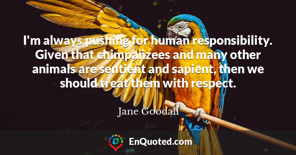 I'm always pushing for human responsibility. Given that chimpanzees and many other animals are sentient and sapient, then we should treat them with respect.