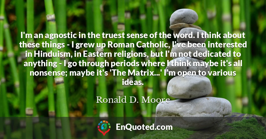 I'm an agnostic in the truest sense of the word. I think about these things - I grew up Roman Catholic, I've been interested in Hinduism, in Eastern religions, but I'm not dedicated to anything - I go through periods where I think maybe it's all nonsense; maybe it's 'The Matrix...' I'm open to various ideas.