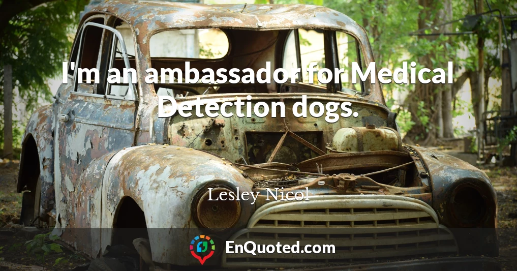 I'm an ambassador for Medical Detection dogs.