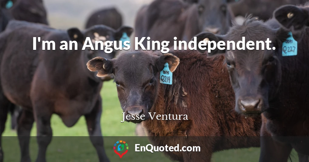 I'm an Angus King independent.