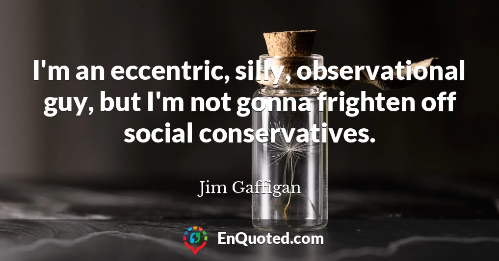 I'm an eccentric, silly, observational guy, but I'm not gonna frighten off social conservatives.