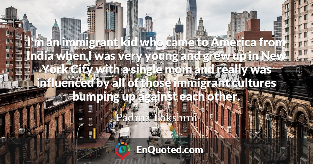 I'm an immigrant kid who came to America from India when I was very young and grew up in New York City with a single mom and really was influenced by all of those immigrant cultures bumping up against each other.