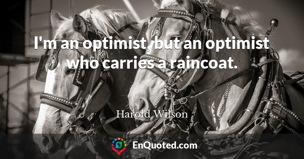 I'm an optimist, but an optimist who carries a raincoat.