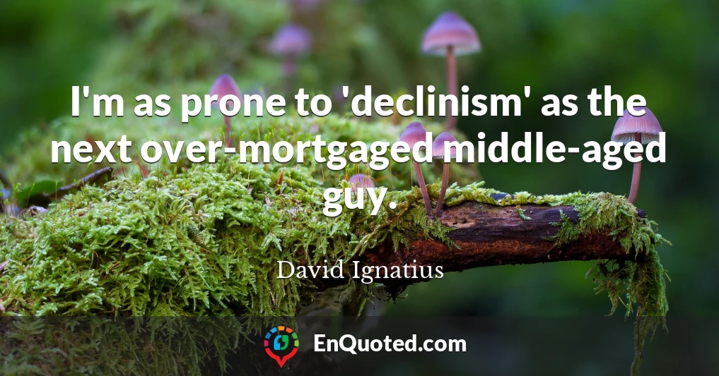 I'm as prone to 'declinism' as the next over-mortgaged middle-aged guy.