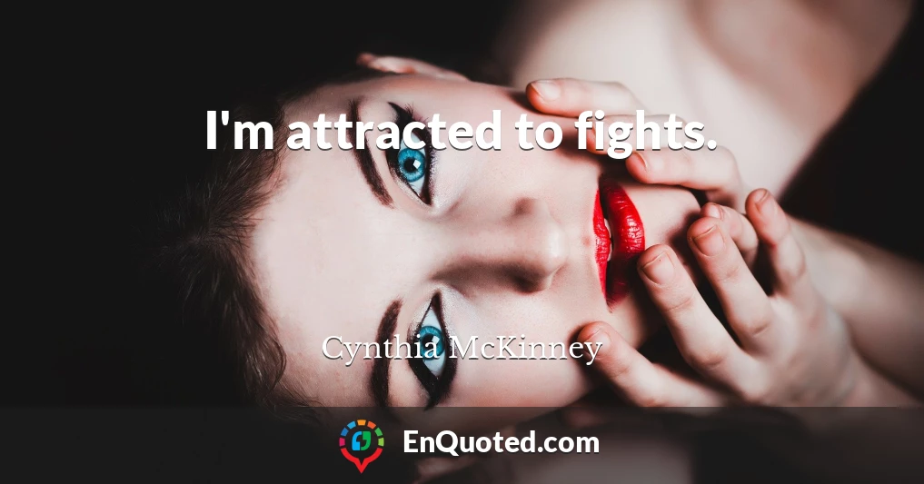 I'm attracted to fights.