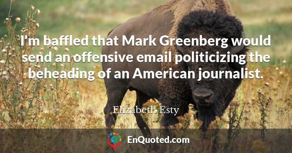 I'm baffled that Mark Greenberg would send an offensive email politicizing the beheading of an American journalist.