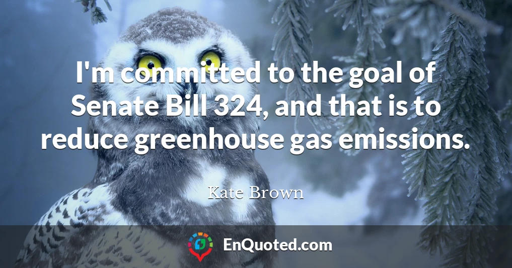 I'm committed to the goal of Senate Bill 324, and that is to reduce greenhouse gas emissions.