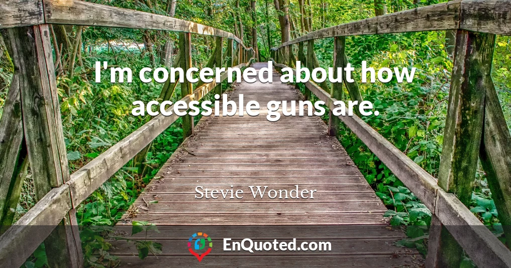 I'm concerned about how accessible guns are.