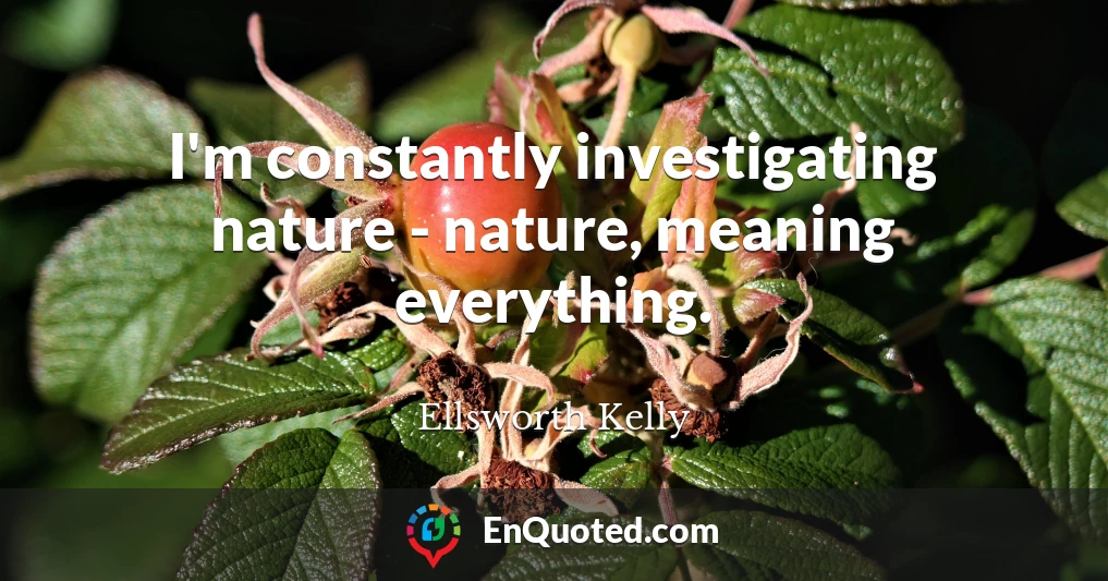 I'm constantly investigating nature - nature, meaning everything.