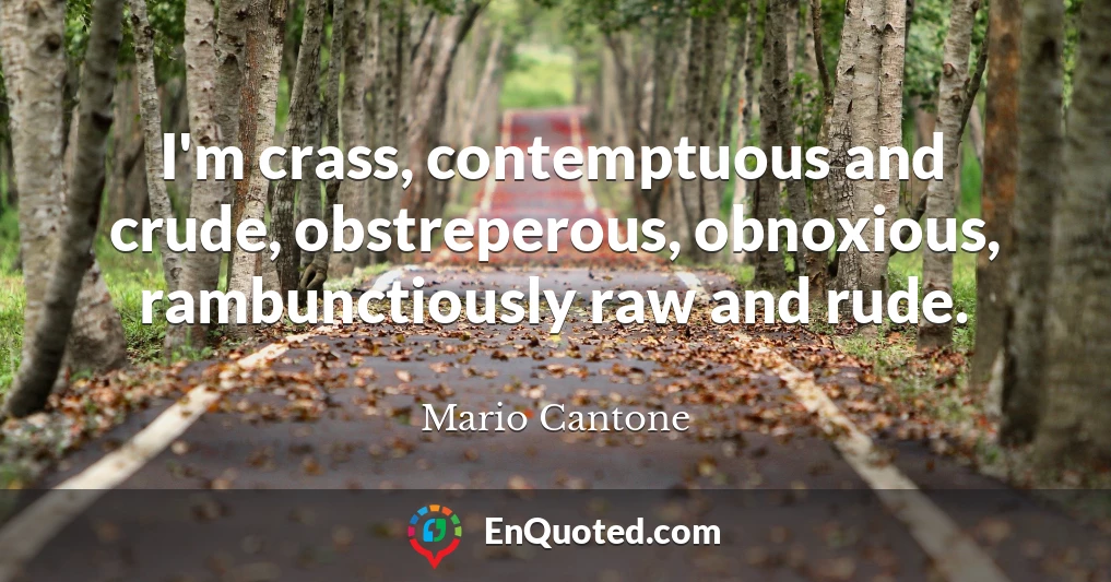 I'm crass, contemptuous and crude, obstreperous, obnoxious, rambunctiously raw and rude.