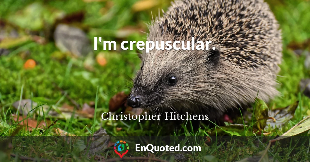 I'm crepuscular.