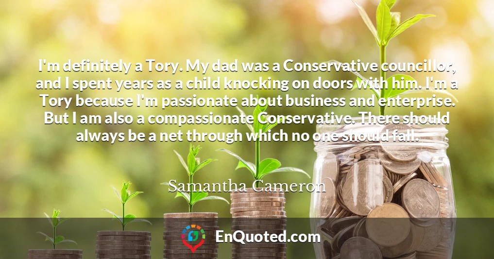 I'm definitely a Tory. My dad was a Conservative councillor, and I spent years as a child knocking on doors with him. I'm a Tory because I'm passionate about business and enterprise. But I am also a compassionate Conservative. There should always be a net through which no one should fall.