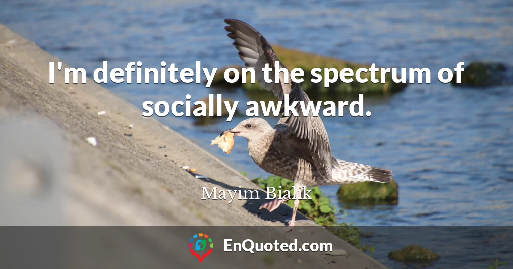 I'm definitely on the spectrum of socially awkward.