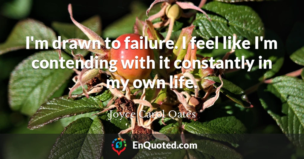 I'm drawn to failure. I feel like I'm contending with it constantly in my own life.