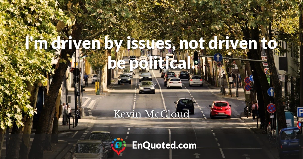 I'm driven by issues, not driven to be political.