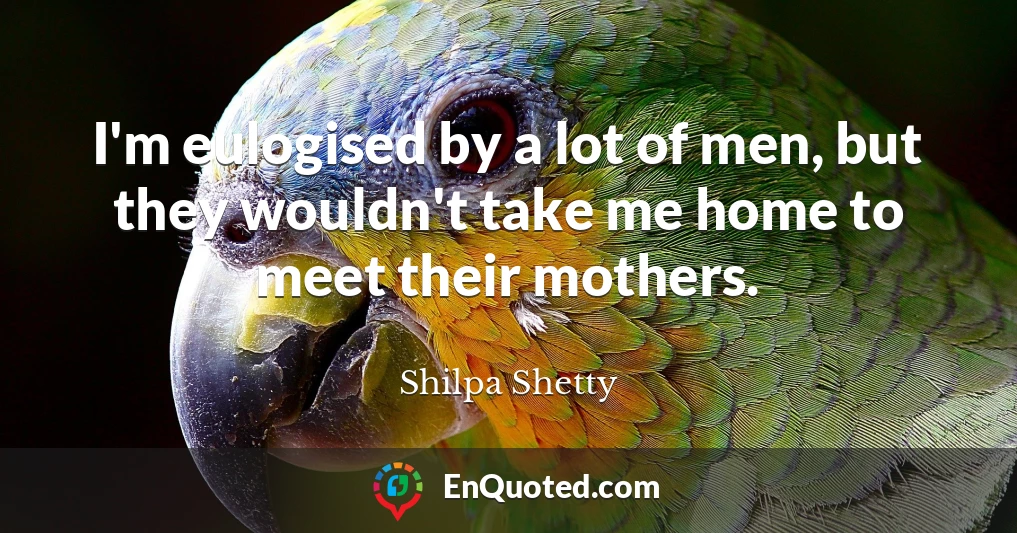 I'm eulogised by a lot of men, but they wouldn't take me home to meet their mothers.