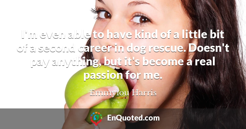 I'm even able to have kind of a little bit of a second career in dog rescue. Doesn't pay anything, but it's become a real passion for me.