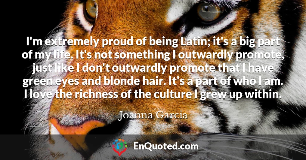 I'm extremely proud of being Latin; it's a big part of my life. It's not something I outwardly promote, just like I don't outwardly promote that I have green eyes and blonde hair. It's a part of who I am. I love the richness of the culture I grew up within.