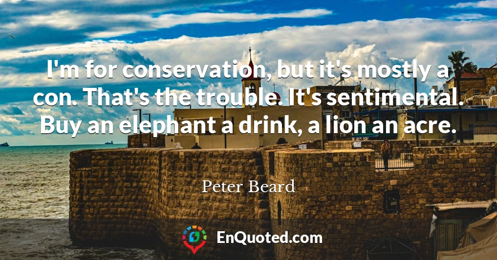 I'm for conservation, but it's mostly a con. That's the trouble. It's sentimental. Buy an elephant a drink, a lion an acre.