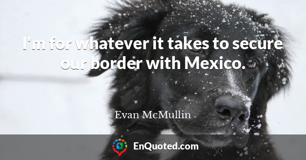 I'm for whatever it takes to secure our border with Mexico.