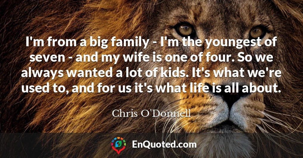 I'm from a big family - I'm the youngest of seven - and my wife is one of four. So we always wanted a lot of kids. It's what we're used to, and for us it's what life is all about.