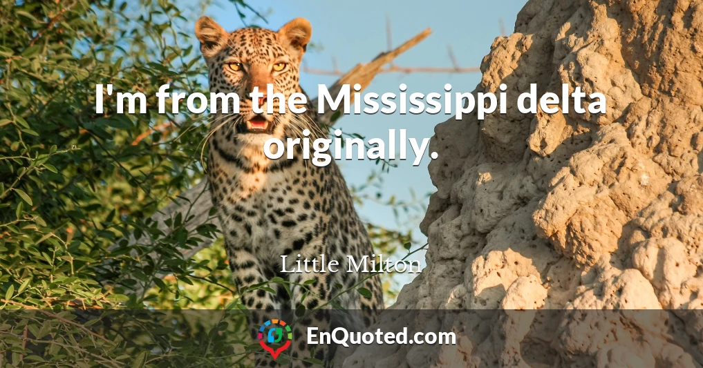 I'm from the Mississippi delta originally.