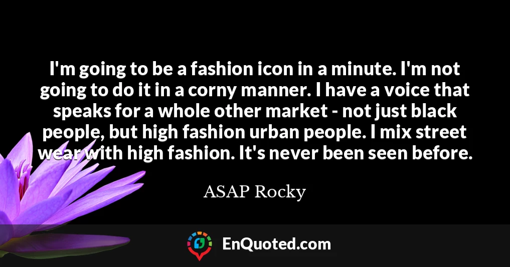 I'm going to be a fashion icon in a minute. I'm not going to do it in a corny manner. I have a voice that speaks for a whole other market - not just black people, but high fashion urban people. I mix street wear with high fashion. It's never been seen before.
