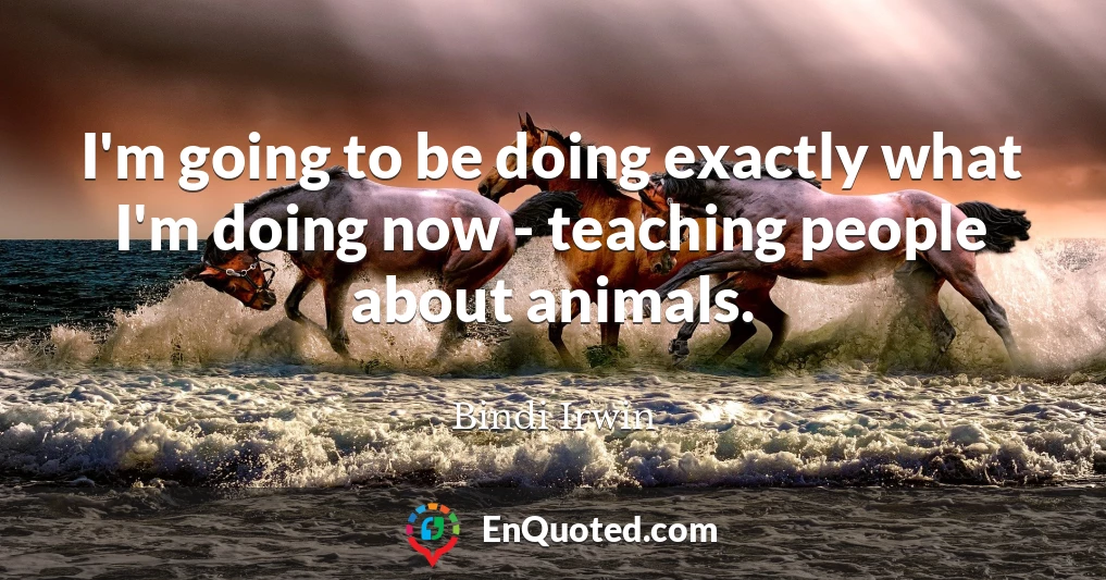 I'm going to be doing exactly what I'm doing now - teaching people about animals.