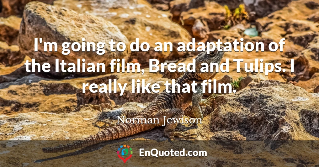 I'm going to do an adaptation of the Italian film, Bread and Tulips. I really like that film.