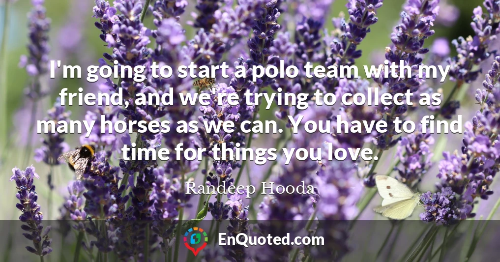 I'm going to start a polo team with my friend, and we're trying to collect as many horses as we can. You have to find time for things you love.