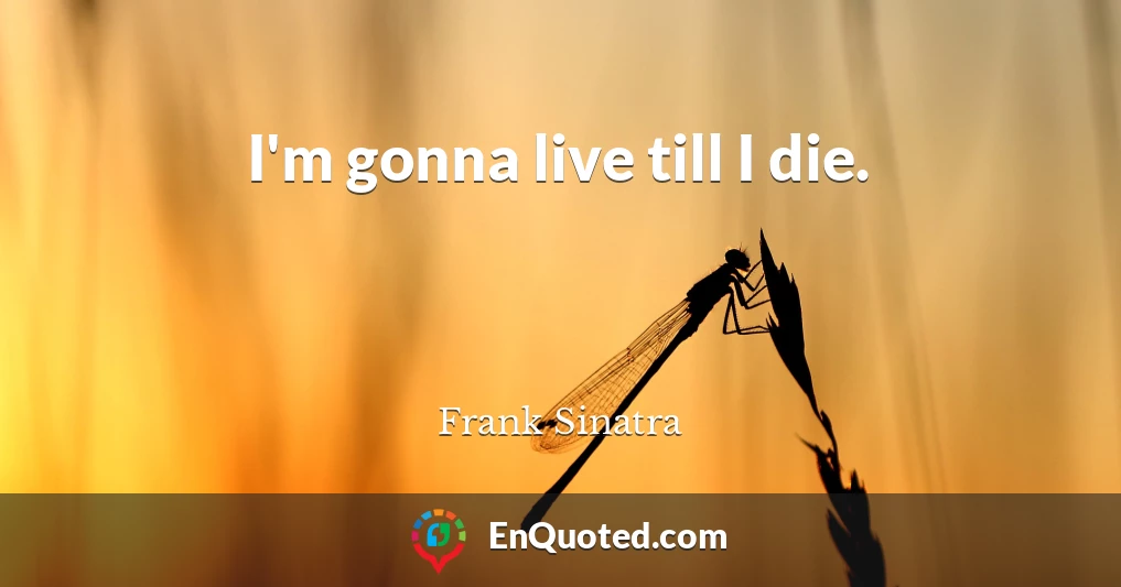I'm gonna live till I die.