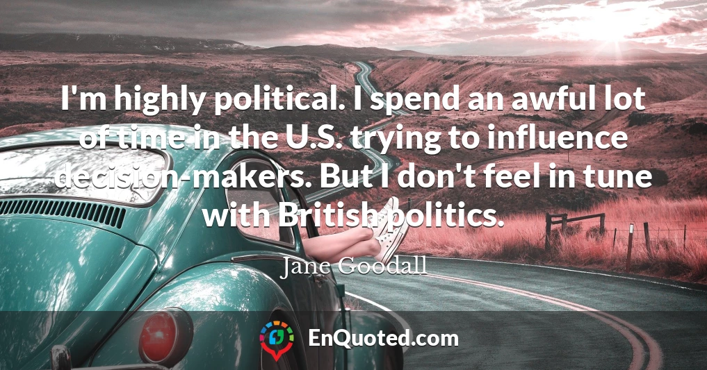 I'm highly political. I spend an awful lot of time in the U.S. trying to influence decision-makers. But I don't feel in tune with British politics.