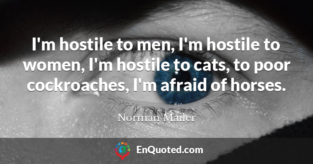 I'm hostile to men, I'm hostile to women, I'm hostile to cats, to poor cockroaches, I'm afraid of horses.